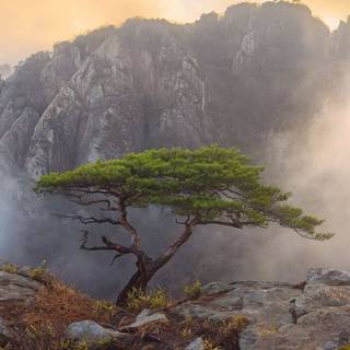 Korea landscape wallpaper