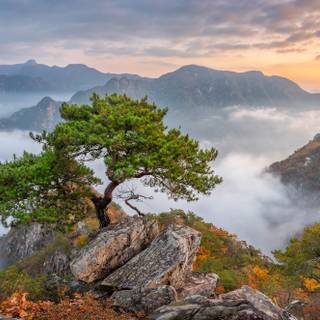 Korea landscape wallpaper