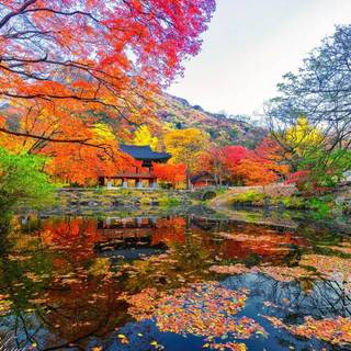 Korea landscape wallpaper