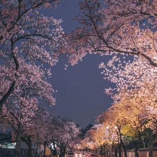 Korea landscape wallpaper