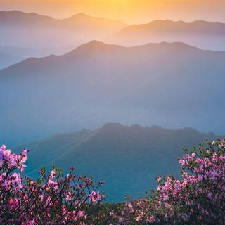 Korea landscape wallpaper