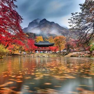 Korea landscape wallpaper