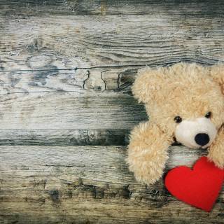 Heart bear wallpaper