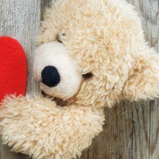 Heart bear wallpaper