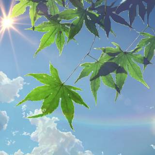 The Garden of Words UHD wallpaper