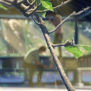 The Garden of Words UHD wallpaper