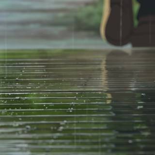 The Garden of Words UHD wallpaper