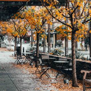 Café autumn wallpaper