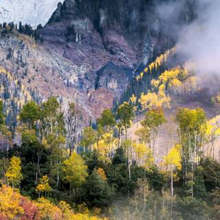 Autumn iPhone 16 wallpaper