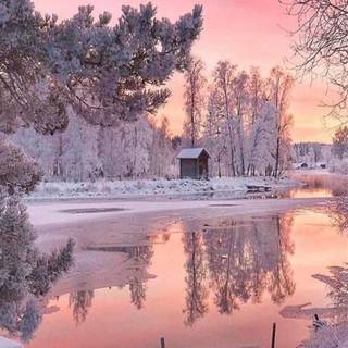 Tablet winter wallpaper