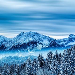 Tablet winter wallpaper