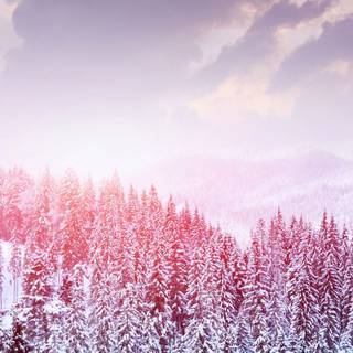 Tablet winter wallpaper