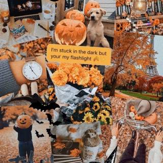 Halloween iPhone 16 wallpaper