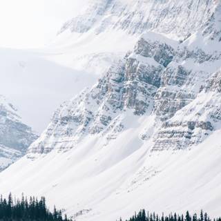 Tablet winter wallpaper