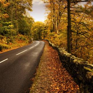 Autumn road 4k wallpaper