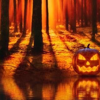 Halloween iPhone 16 wallpaper