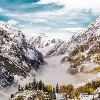 Tablet winter wallpaper