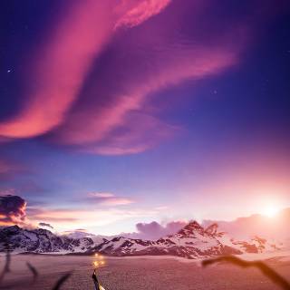 Penguin 4k iPhone wallpaper