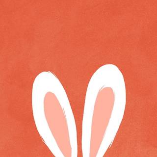 Penguin 4k iPhone wallpaper