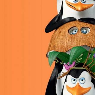 Penguin 4k iPhone wallpaper