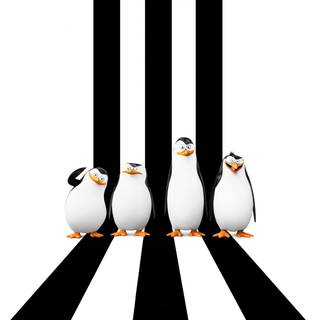 Penguins of Madagascar 4k wallpaper