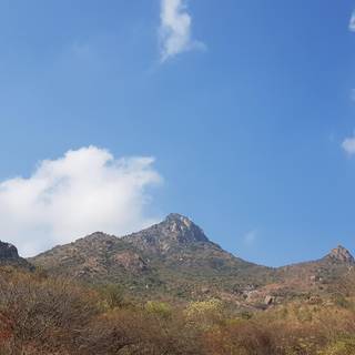 Arunachala wallpaper
