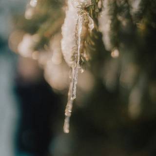 Cozy winter vertical wallpaper