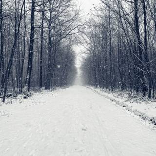 Cozy winter vertical wallpaper