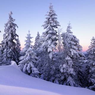 Cozy winter vertical wallpaper