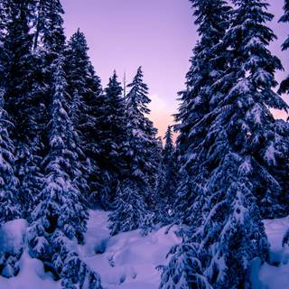 Cozy winter vertical wallpaper