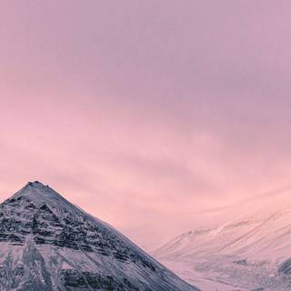 Pink winter 4k wallpaper