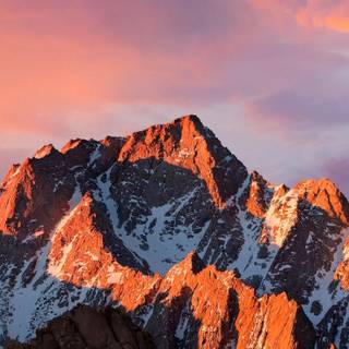 Winter vertical 4k wallpaper