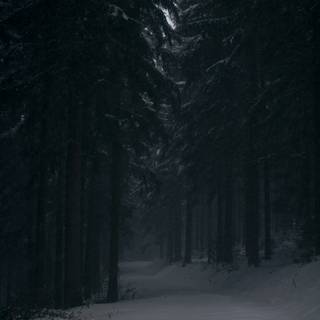 Winter vertical 4k wallpaper