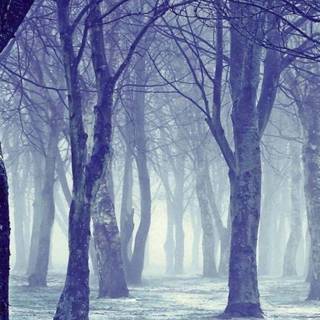 Cozy winter vertical wallpaper