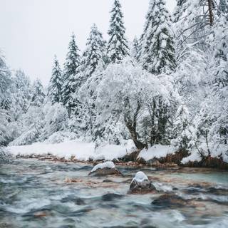 Cozy winter vertical wallpaper
