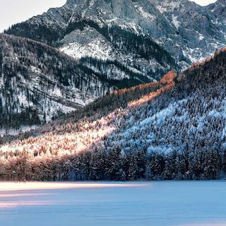 Winter vertical 4k wallpaper