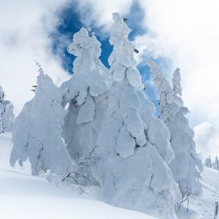 Winter vertical 4k wallpaper