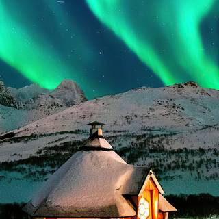 Winter vertical 4k wallpaper