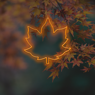 Neon autumn wallpaper