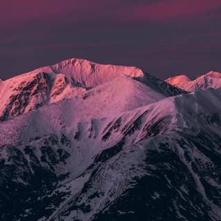 Pink winter 4k wallpaper