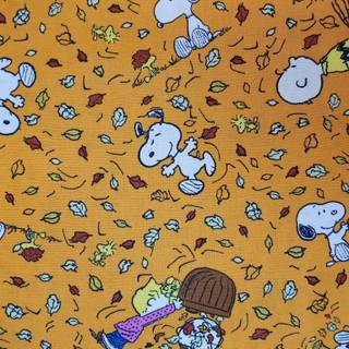 Snoopy 4k autumn wallpaper