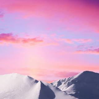 Pink winter 4k wallpaper