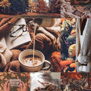 Autumn aesthetic brown wallpaper