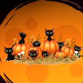 Halloween cute profile wallpaper