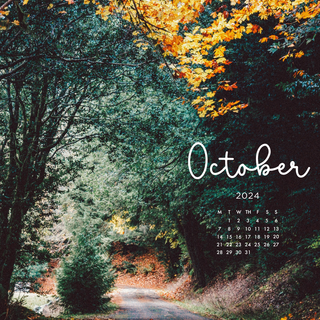 Fall iPhone 6 wallpaper