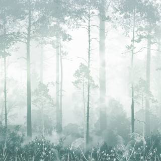 Foggy trees wallpaper
