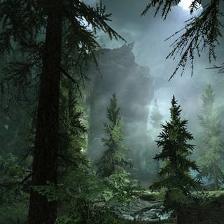 Foggy trees wallpaper