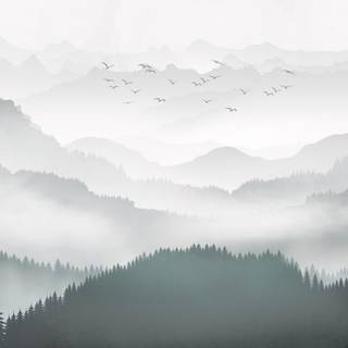 Foggy trees wallpaper