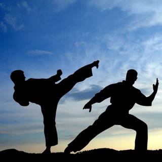 Martial art wallpaper