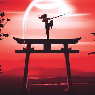 Martial art wallpaper